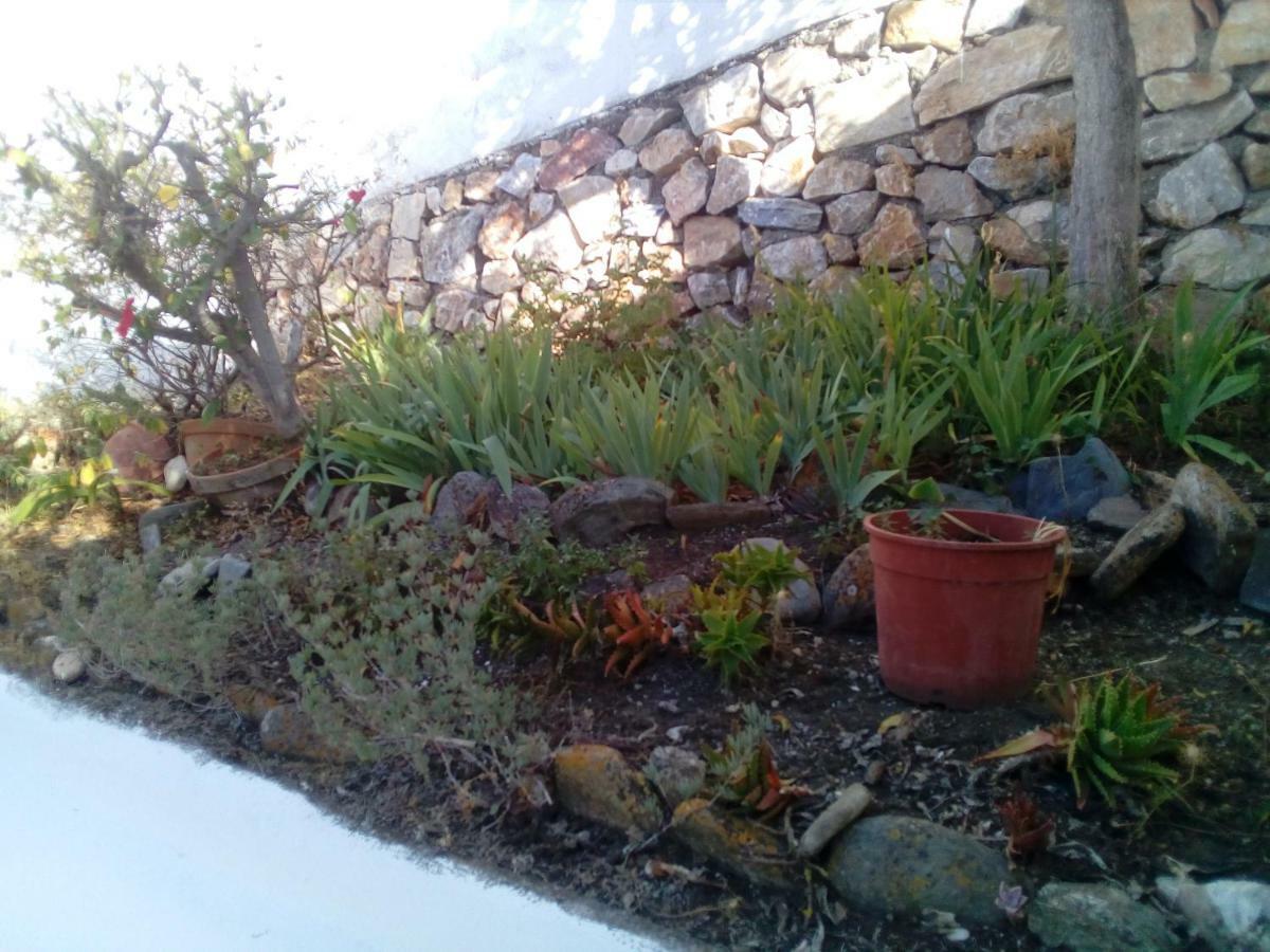 Chalecito En La Herradura- Casa Kwetu La Herradura  Dış mekan fotoğraf